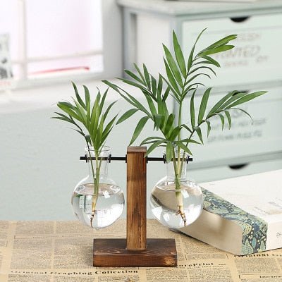 Hydroponic Transparent Plant Vases - Unique Empire Gifts Store