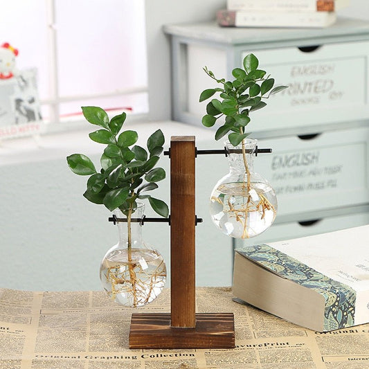 Hydroponic Transparent Plant Vases - Unique Empire Gifts Store